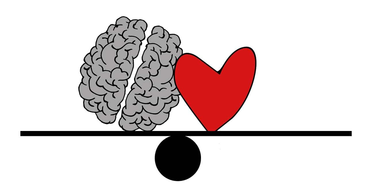 心臓は感情のコントロールに影響を与えている