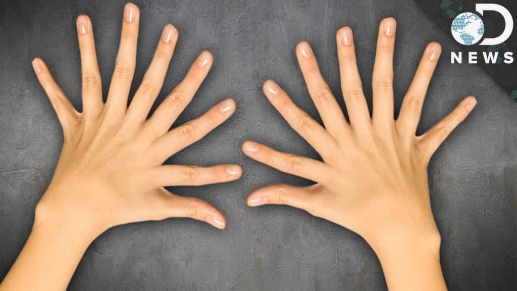 紙で手を切ると痛みがひどいのはなぜか？ | 知力空間