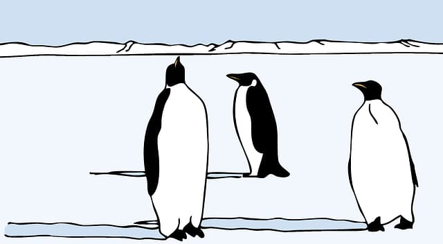 ペンギンから学ぶ「滑りやすい氷の上を最も安全に歩く方法」とは？