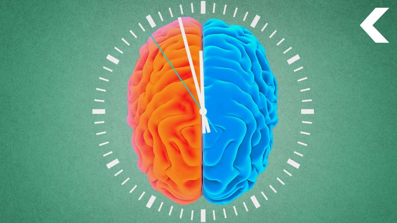 バイリンガルの脳の仕組みは何が違うのか？