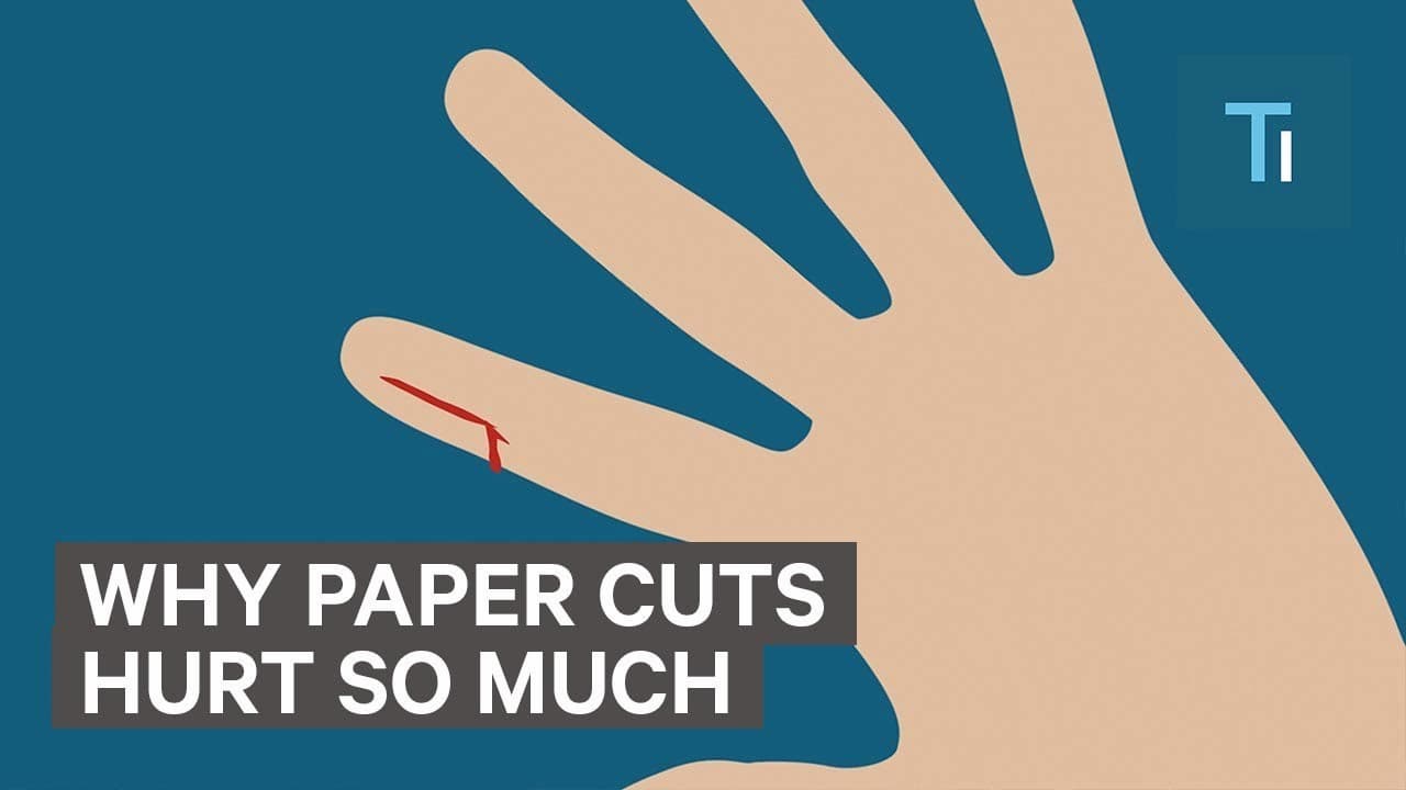 なぜ紙で手を切ると痛みが鋭いのか？