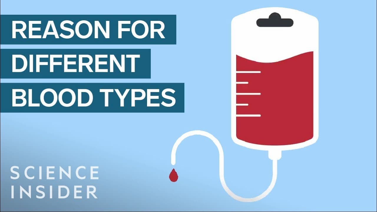 なぜ血液型が違う人には輸血できないのか？