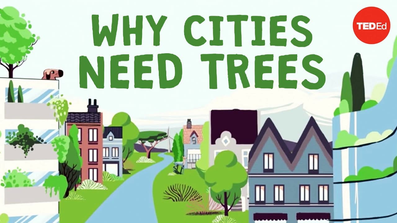木を伐り倒しすぎた都市の恐ろしい結末とは