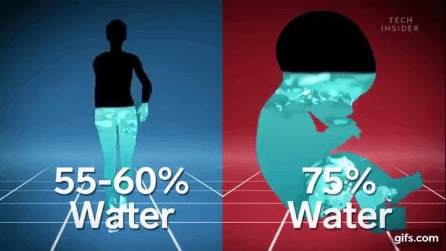 水分補給：大人と赤ちゃんの違い