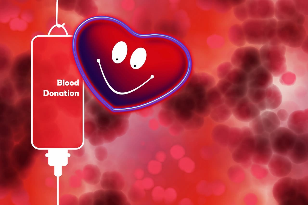 わたしたちの血液は、死後でも輸血できるのか？