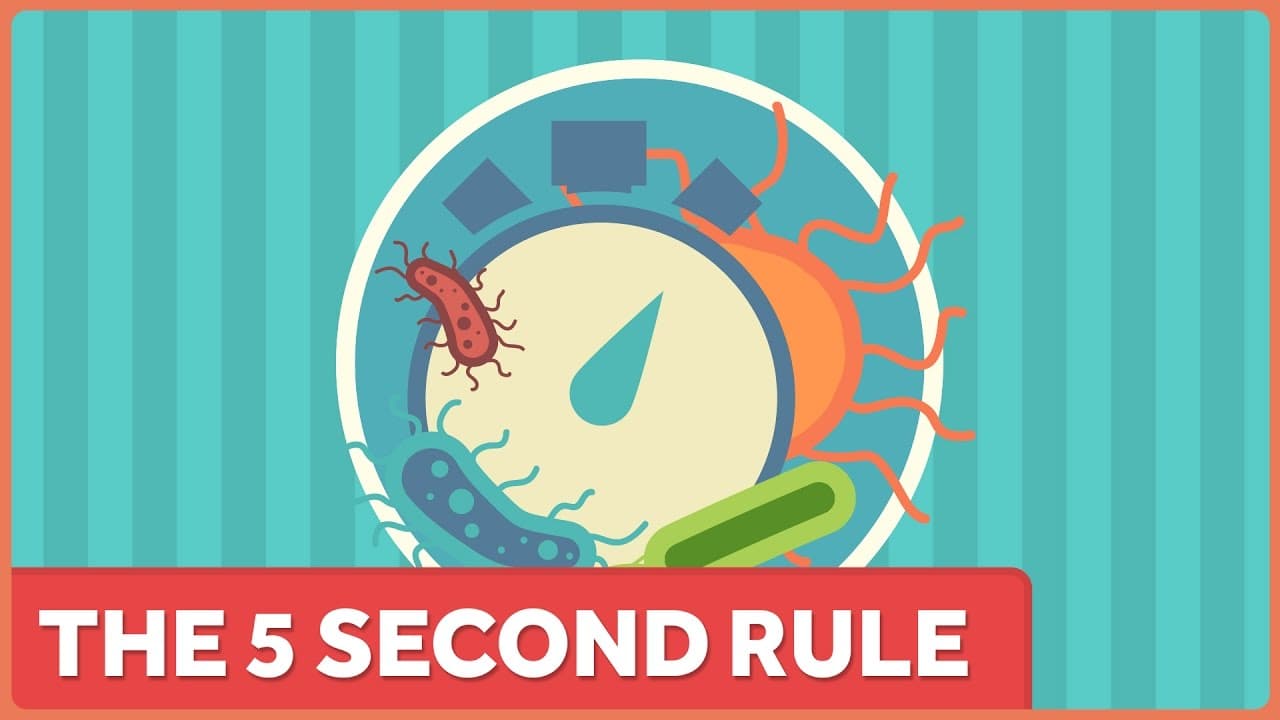 落とした食べ物の法則「5秒ルール」はウソ？