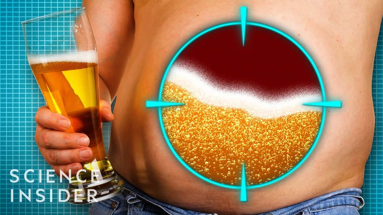 なぜ男性はビール腹になるのか？