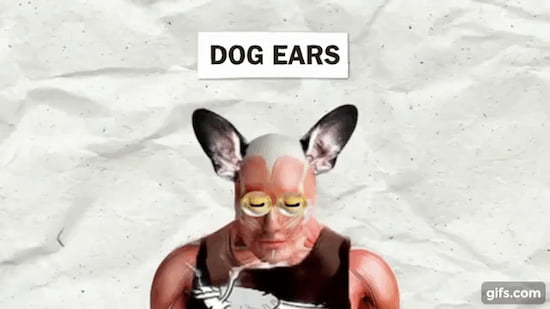 犬の耳のメリット