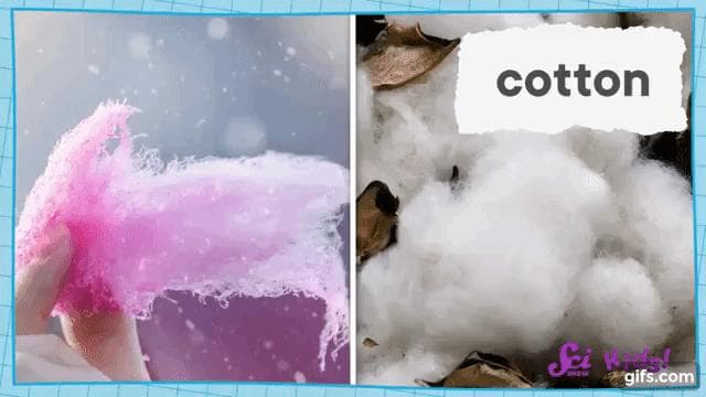 綿菓子は固体の砂糖から作られる