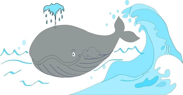 クジラ体験・脂肪の役割を知る実験方法
