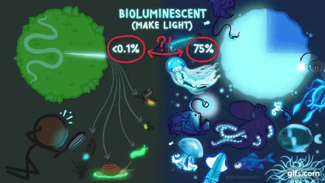 海と陸での生物発光種の比率