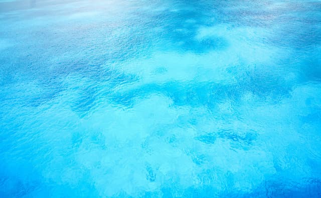 海が透明だったらどうなる？