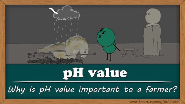 土壌のpH値が重要な理由