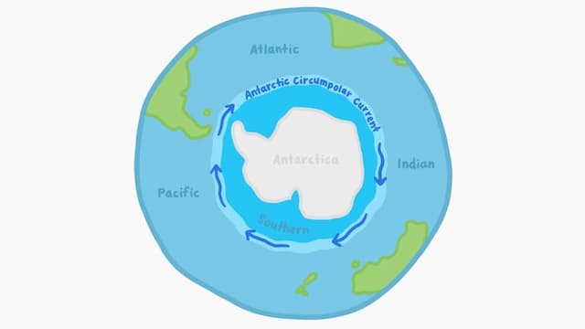 海流によって生物が孤立した南極海