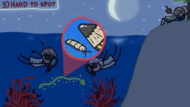 海で夜間に無脊椎動物によって行われる受粉