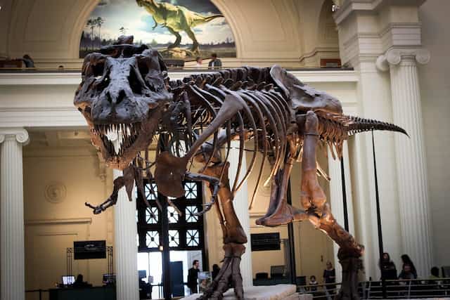 恐竜の化石骨格が不完全な理由