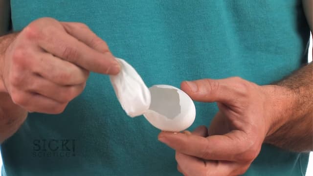 卵の殻から卵膜を取り出す方法