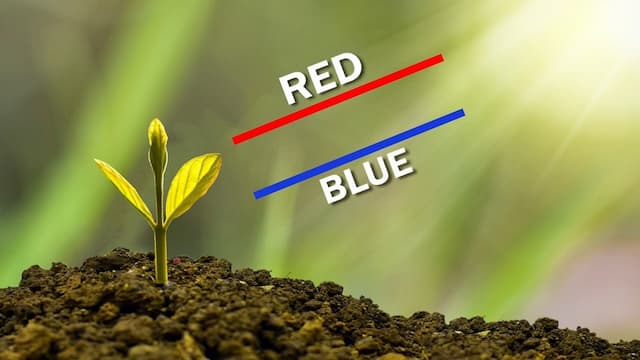 植物に必要な赤と青の光