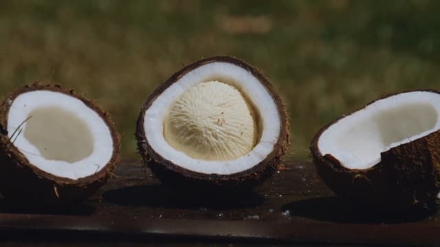 ココナッツの分類