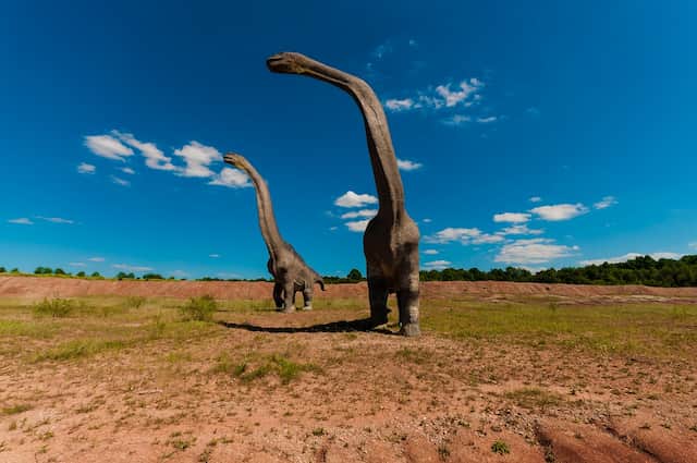 恐竜はなぜ首が長い必要があったのか？