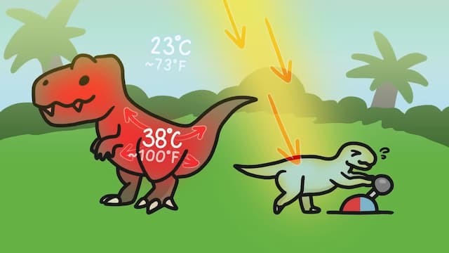 恐竜の体温調節方法②