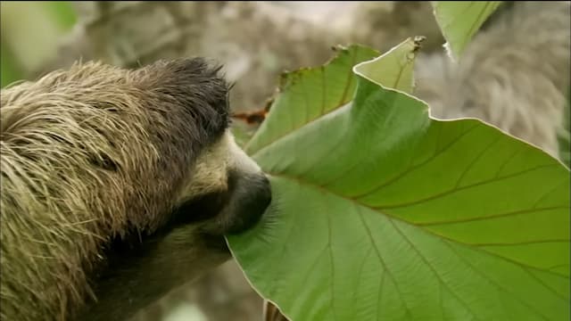 食事中の様子