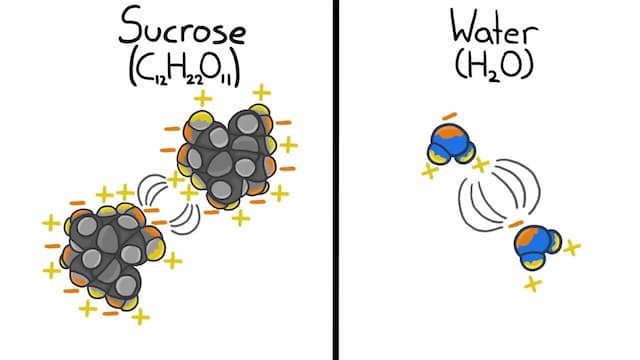 分子レベルの水と砂糖