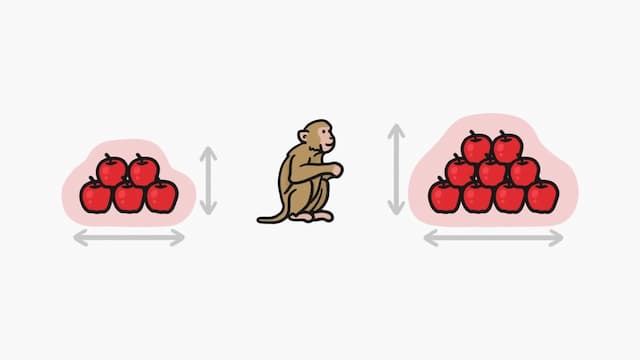 相対的な量の比較