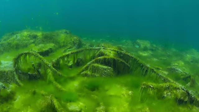 バイカル湖の水質汚染