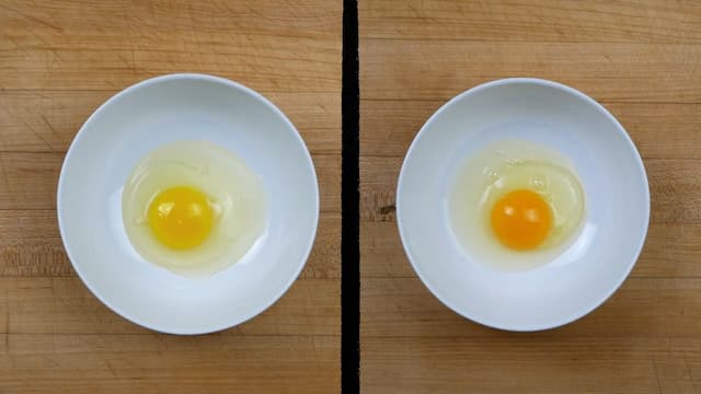 どっちがおいしいのか？