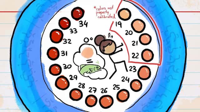 サーモンの色見本