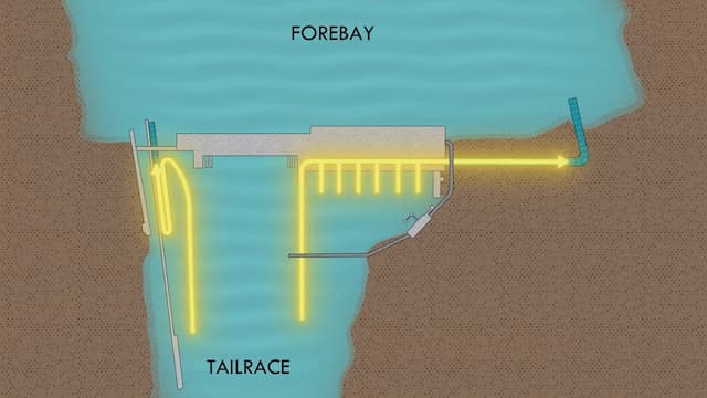 魚道の目的