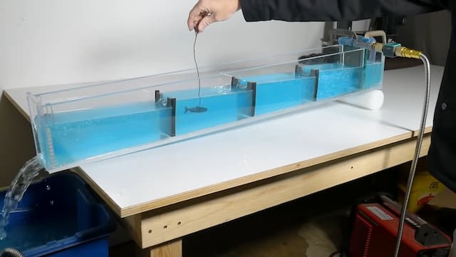 魚道が有効な理由