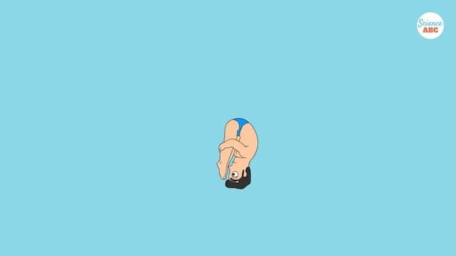 体がコンパクト