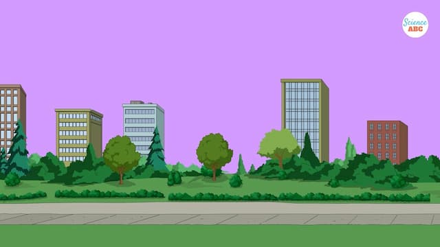 空が紫に見えない理由