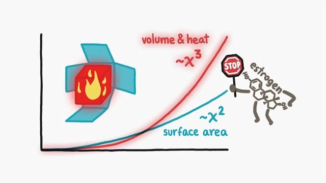熱を発散させる表面積が足りない
