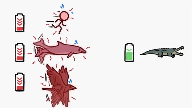 ワニは代謝が悪い