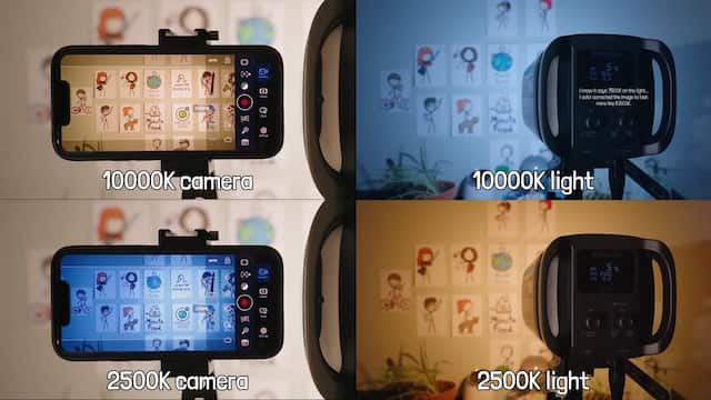 矛盾に見える理由