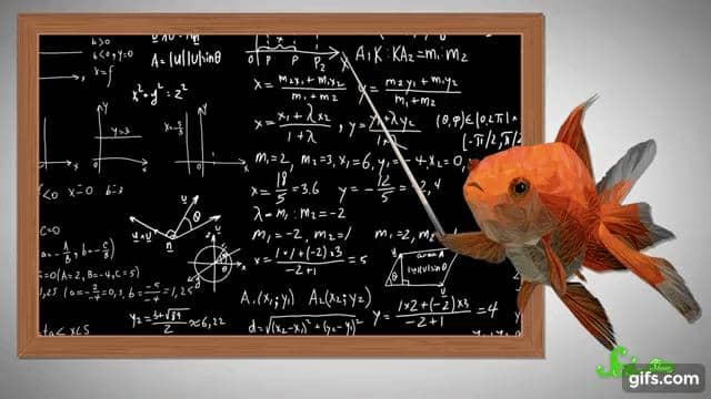 魚には間違いなく知能がある 優れた学習速度や記憶力をもち 道具を使い 数を数える魚たち 知力空間